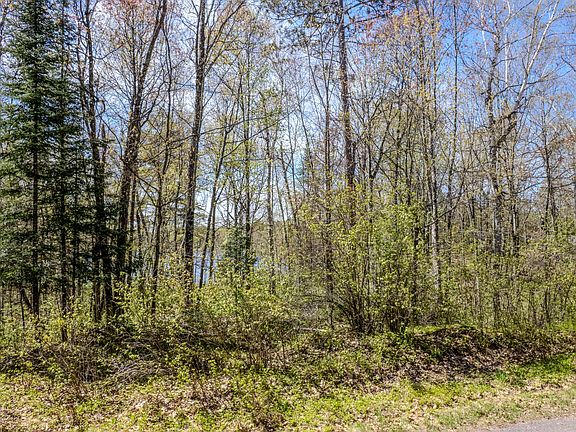 3rd image of LOT 2 Little Bearskin Rd