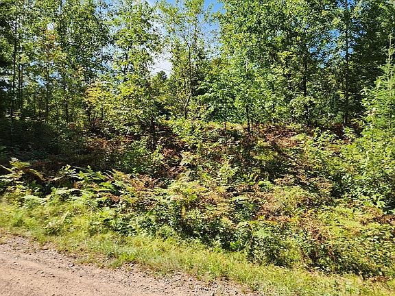 2nd image of On COUNTY ROAD K Lot 9