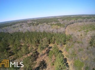 2599 Marvis Chapman Rd, Ideal, GA 31041