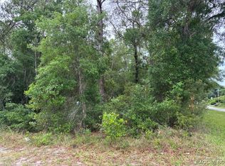 359 N Fitzpatrick Ave, Inverness, FL 34453