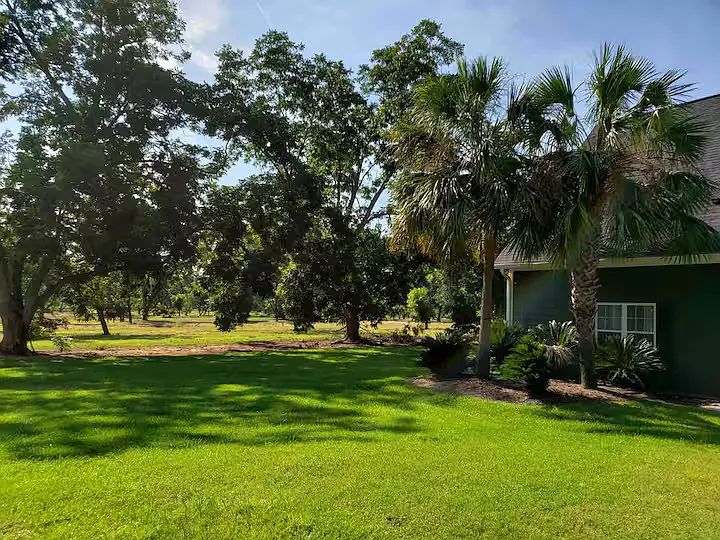 145 Longleaf Dr — Photo 37