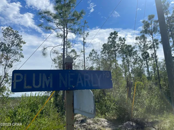0 Plum Nearly Rd, Fountain, FL 32438