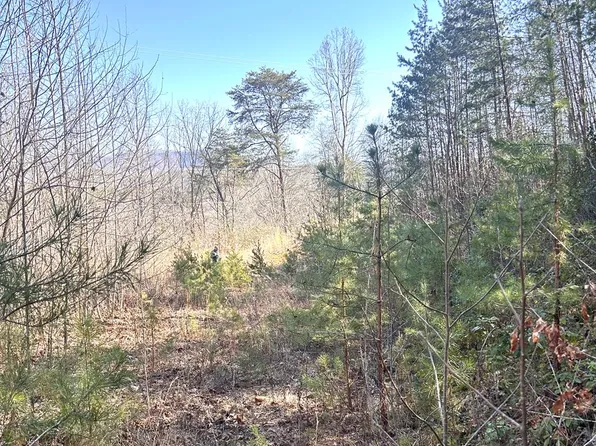 1 Tanager Trl, Whittier, NC 28789