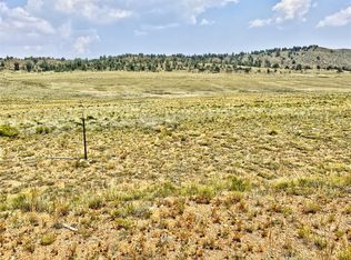 1579 S Muley Gulch Dr, Hartsel, CO 80449