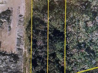 12325 & 12303 Stagg Rd, Winter Garden, FL 34787