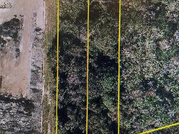 12325 & 12303 Stagg Rd, Winter Garden, FL 34787