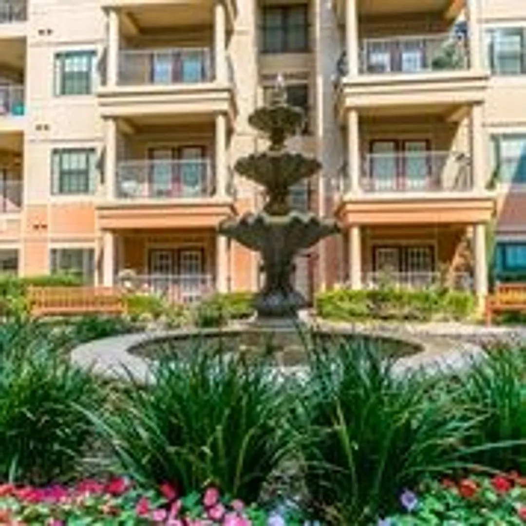 Laguna Vista — Photo 3