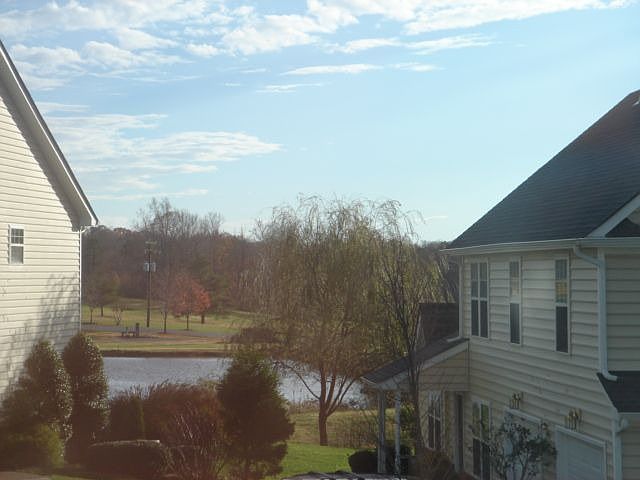 view from the den