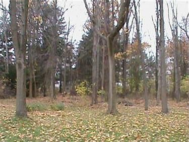 4th image of 29324 Lansing Dr