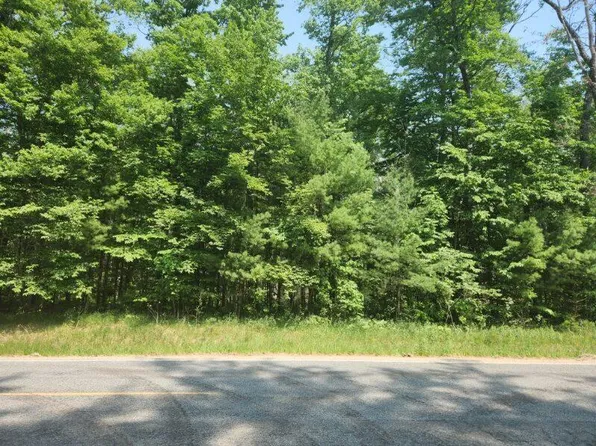 3876 N Evergreen Dr, White Cloud, MI 49349