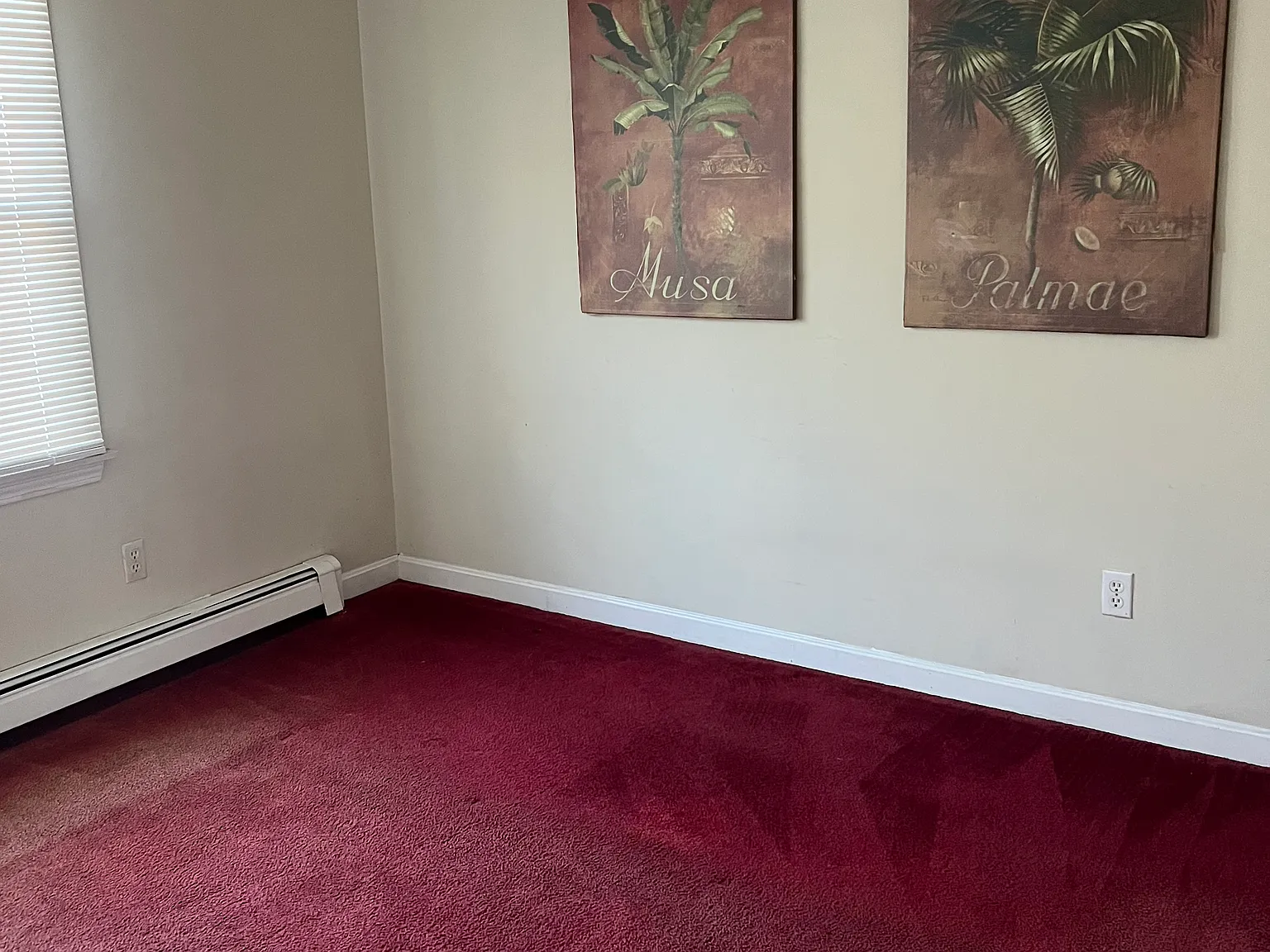 1 bed, 700 sqft, $1,800 — Photo 4