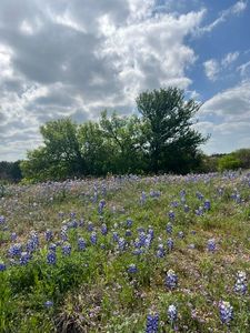 Escondido Lot C-60 La Serena Loop, Horseshoe Bay, TX, 78657