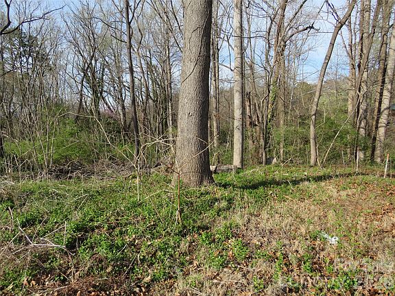 2nd image of 0 Virginia St