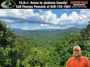 8888 Lacy Fern Rdg, Sylva, NC 28779