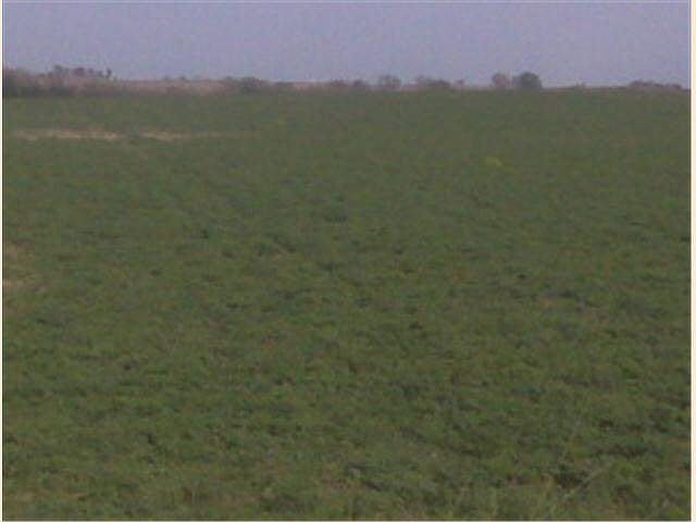 2nd image of xxxx County 6 Road NE