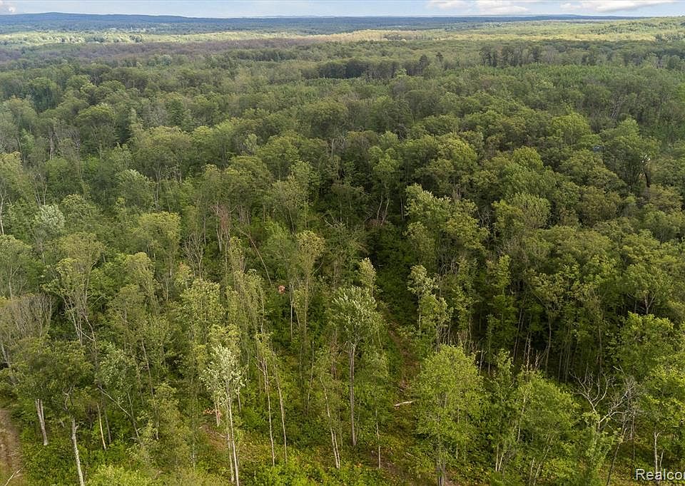 0 Oak Ridge Circle Rd, Comins, MI 48619 Zillow