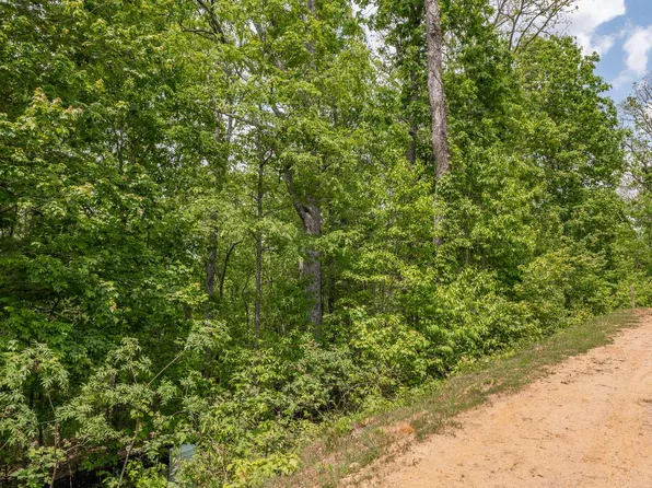 Hp29 Old Toccoa Farm Loop, Mineral Bluff, GA 30559