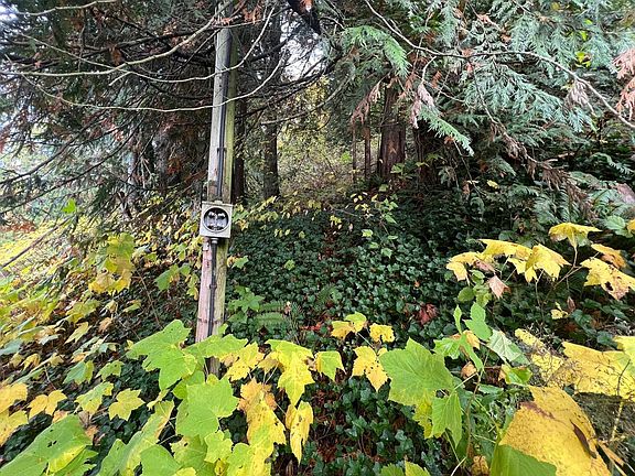 4th image of 45992 Gurney Rd