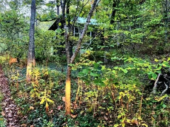 840 County Road 3028, Eureka Springs, AR 72632