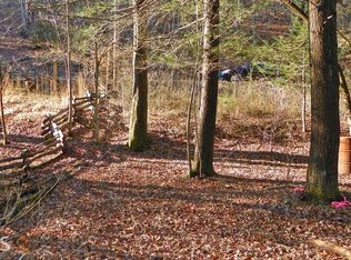 2 Cherokee Trl, Blue Ridge, GA 30513