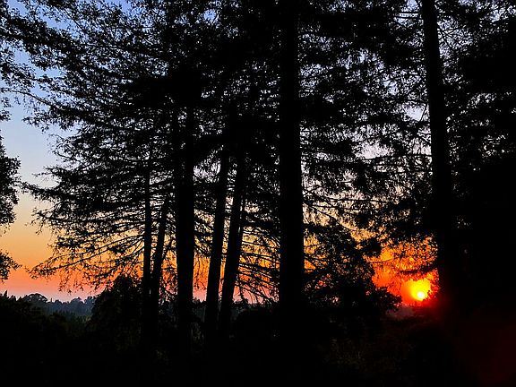 View from Master Bedroom