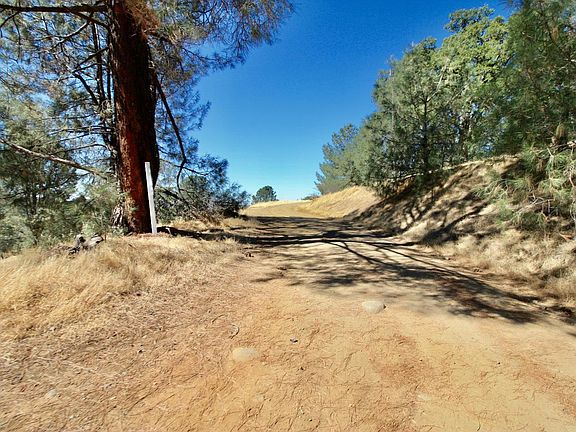 3rd image of 12507 Angel Wing Ln