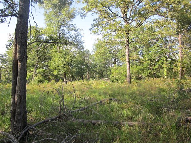 1st image of 29950 County Road 1540