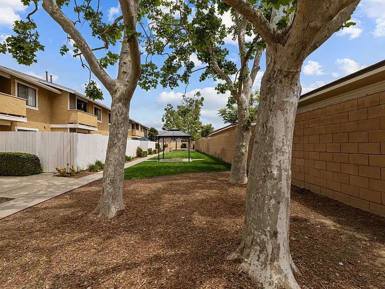 Cerro Vista Apartments — Photo 32