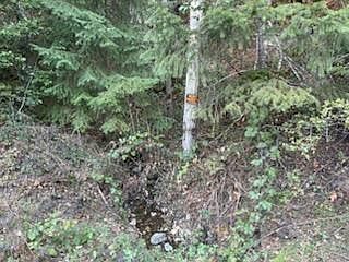 5th image of 0 French Peak Rd #405