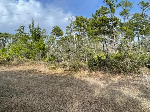 127 Timber Ln, Carrabelle, FL 32322