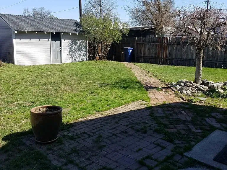 Backyard facing east