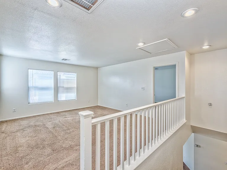 4222 Spruce Fern Ln — Photo 10