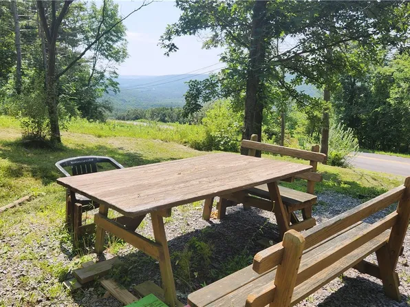 0 S Old Bald Hill Rd, Springwater, NY 14560