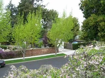 1425 Snow St — Photo 15