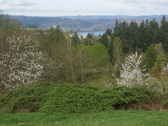 Columbia River Views