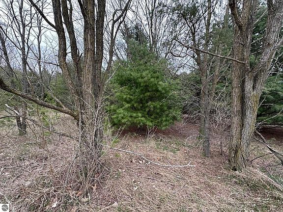 2nd image of V/l Double Lot 11th St