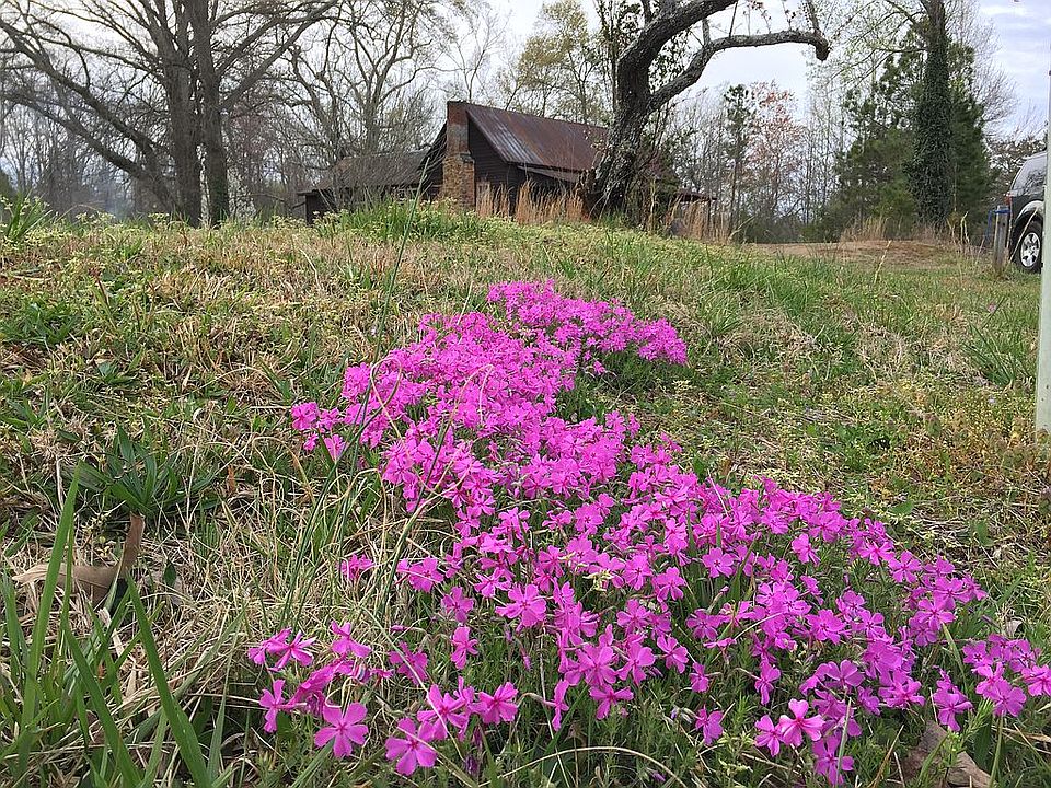 Vernacular Georgia Home