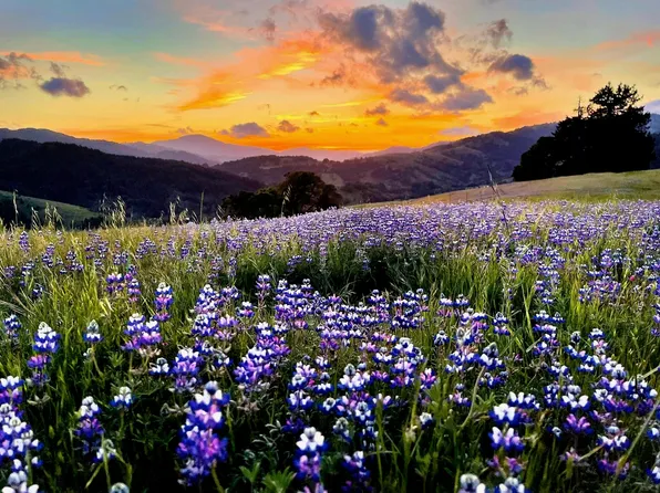 220 Wilder Ridge Rd, Honeydew, CA 95545