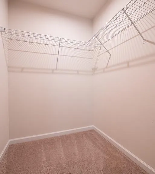 Walk In Closet View 2