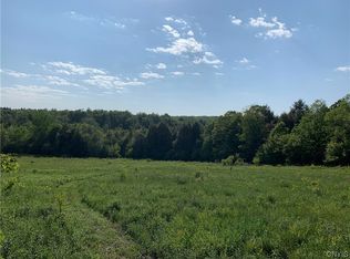 0 Balsam Tyler Rd #3, Mc Donough, NY 13801