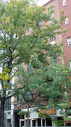 Rented by Urban Real Estate Inc