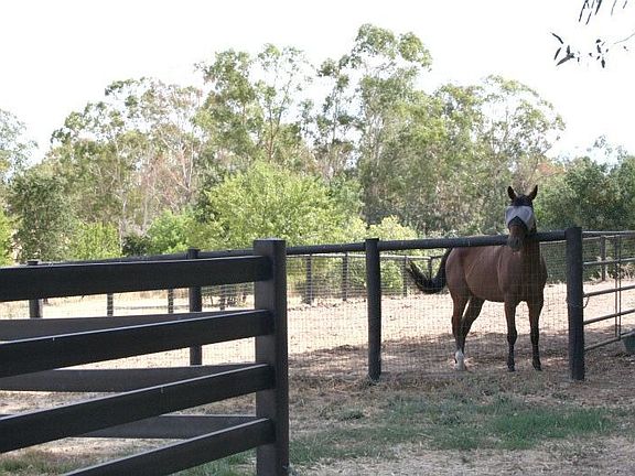 5 + pastures w/new fencing