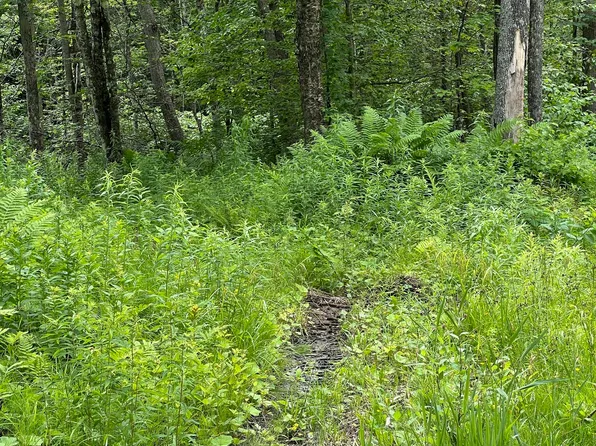 LOT 21 Becket Rd, Middlefield, MA 01243