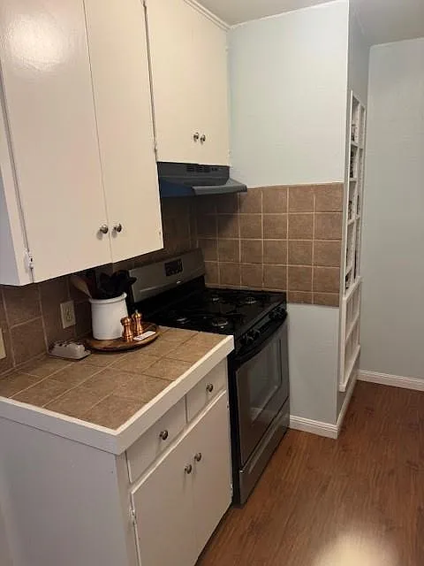 1 bed, 1.0 bath, 600 sqft, $1,495 — Photo 4