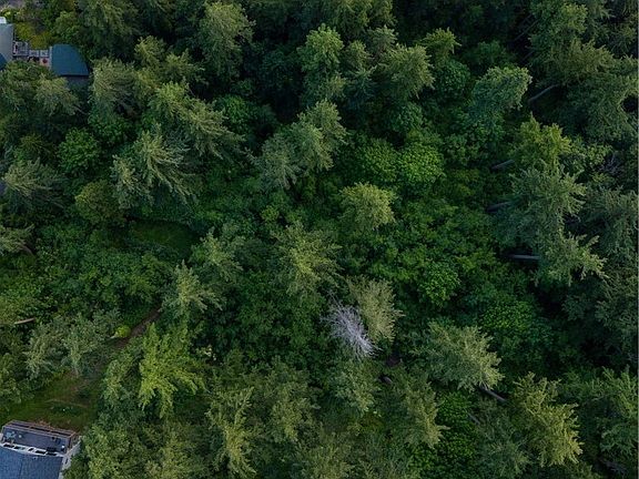 View of driveway. Lot is to the right of home on left side of photo.