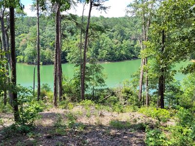 LOT 16 Lot Hiddenfalls The Retreat #16, Jasper, AL, 35503