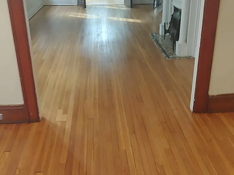 813 Ashland Ave — Photo 3