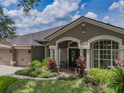 16224 Bridgepark Dr, Lithia, FL, 33547