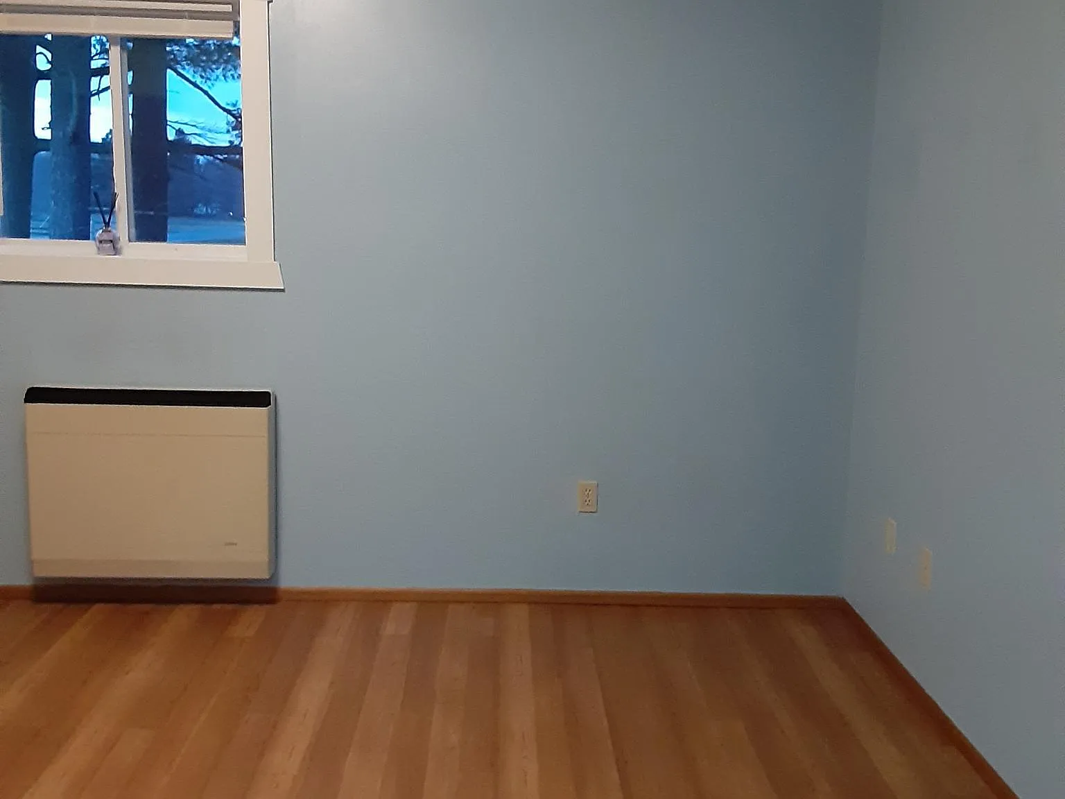 2 bed, 1150 sqft, $1,250 — Photo 4