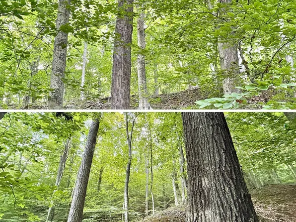 Gobbler Rd, Sumerco, WV 25567